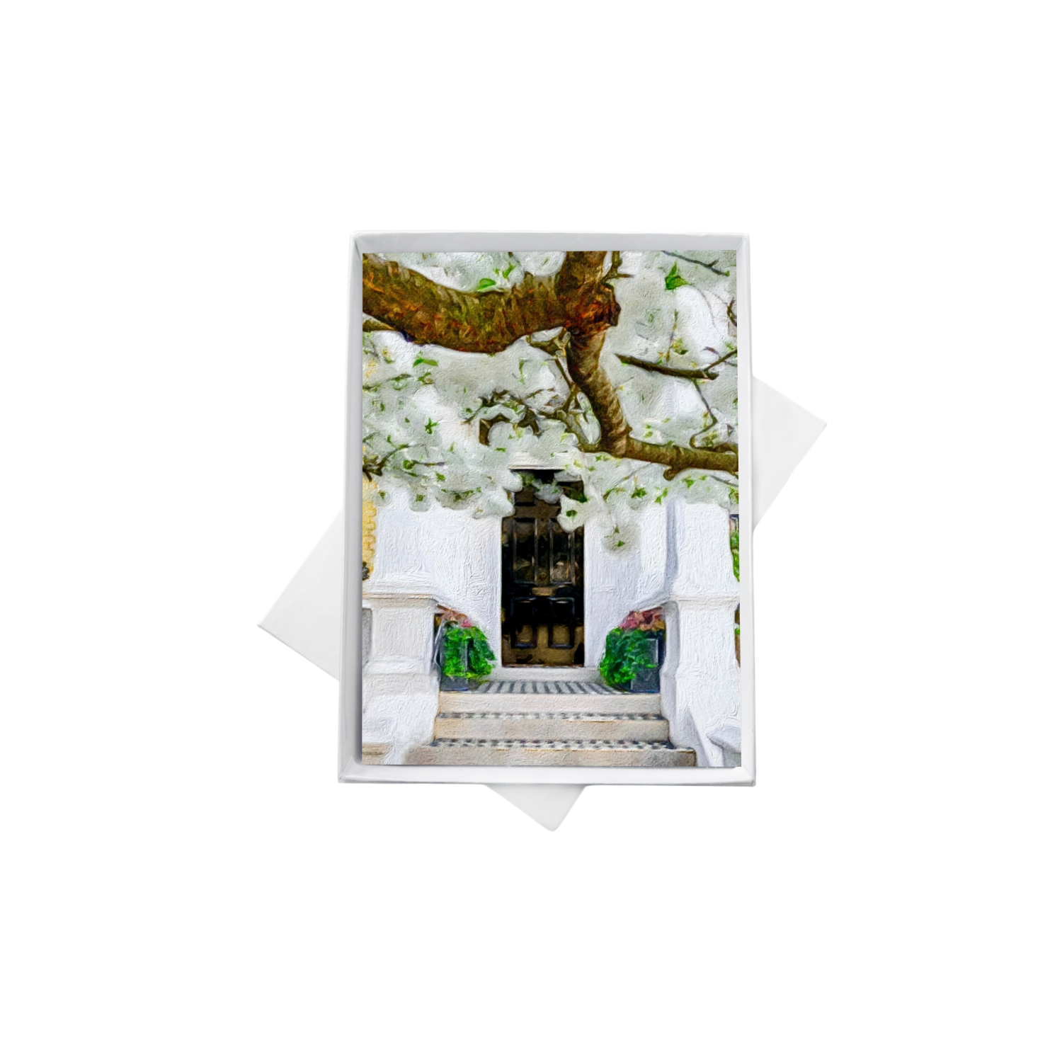 double boxes template copy.png