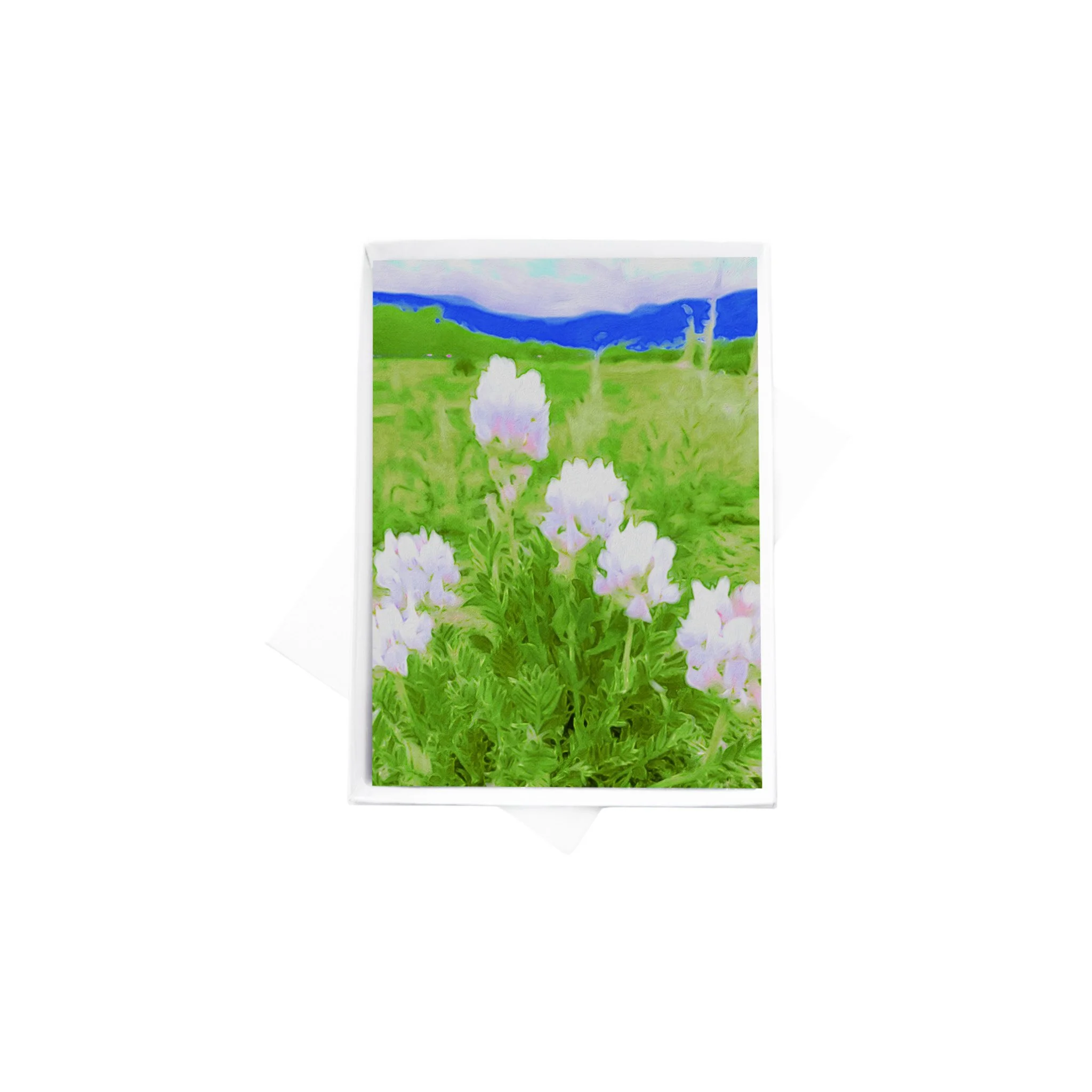 double boxes template (2).jpg