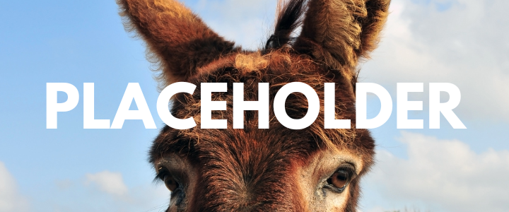 PLACEHOLDER.png