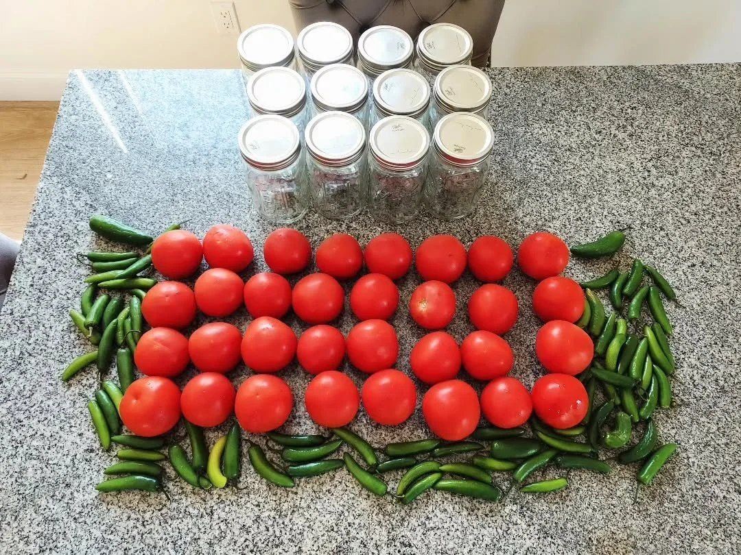 🪇💃🏼Salsa Cha-Cha-Cha!💃🏼🪇