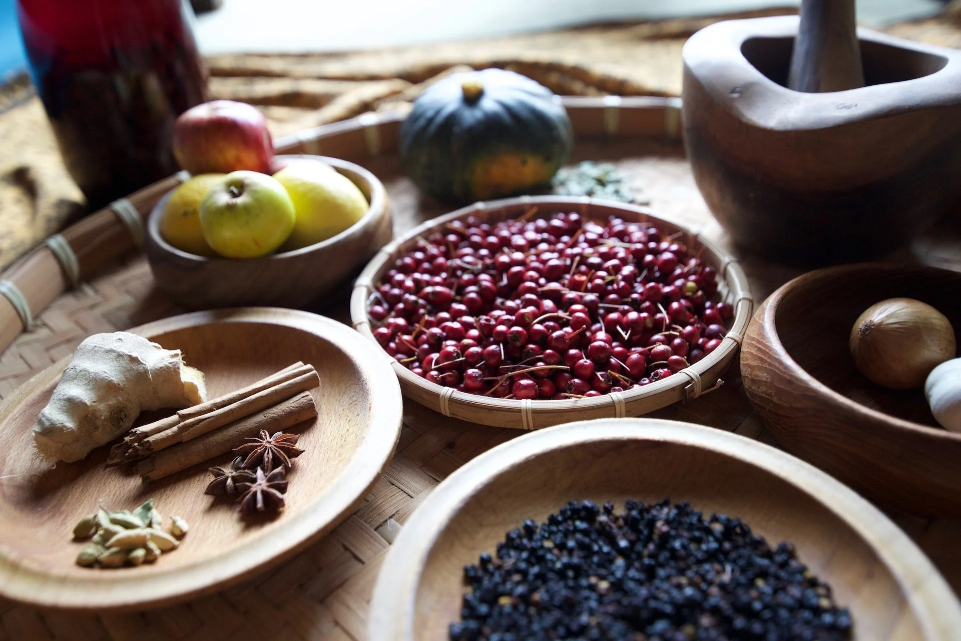 Free monthly herbal medicine talks in Cork City. Medical Herbalist & Ethnobotanist. Events at Tribe Flow Studio.