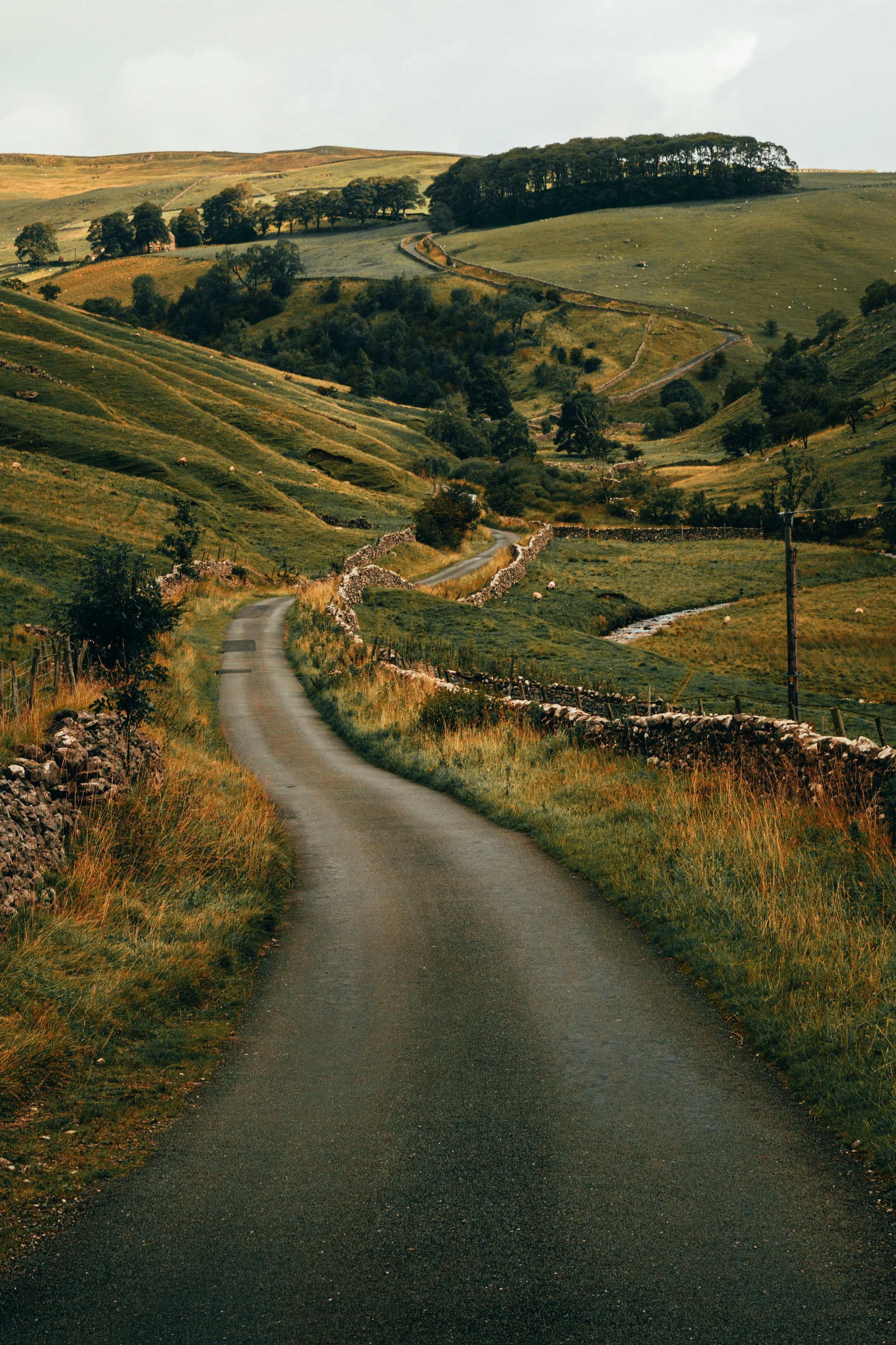 A winding country road through green rolling hills and fields, with stone walls and scattered trees.