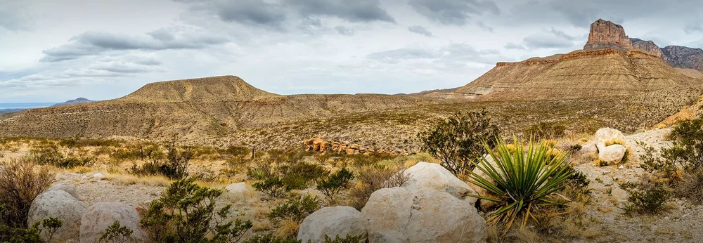 Texas Alignment Health