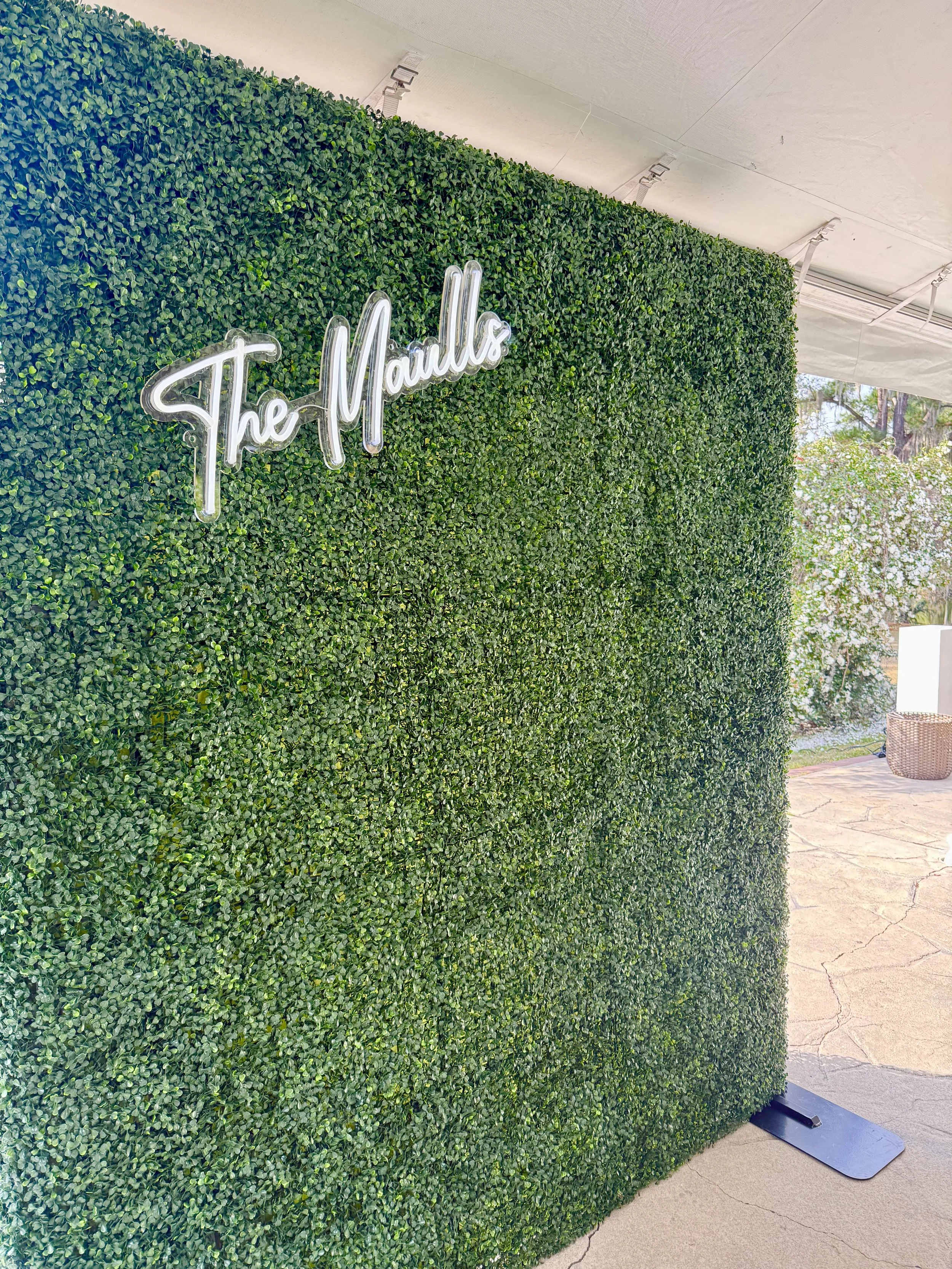 Boxwood Green Hedge Wall Rental