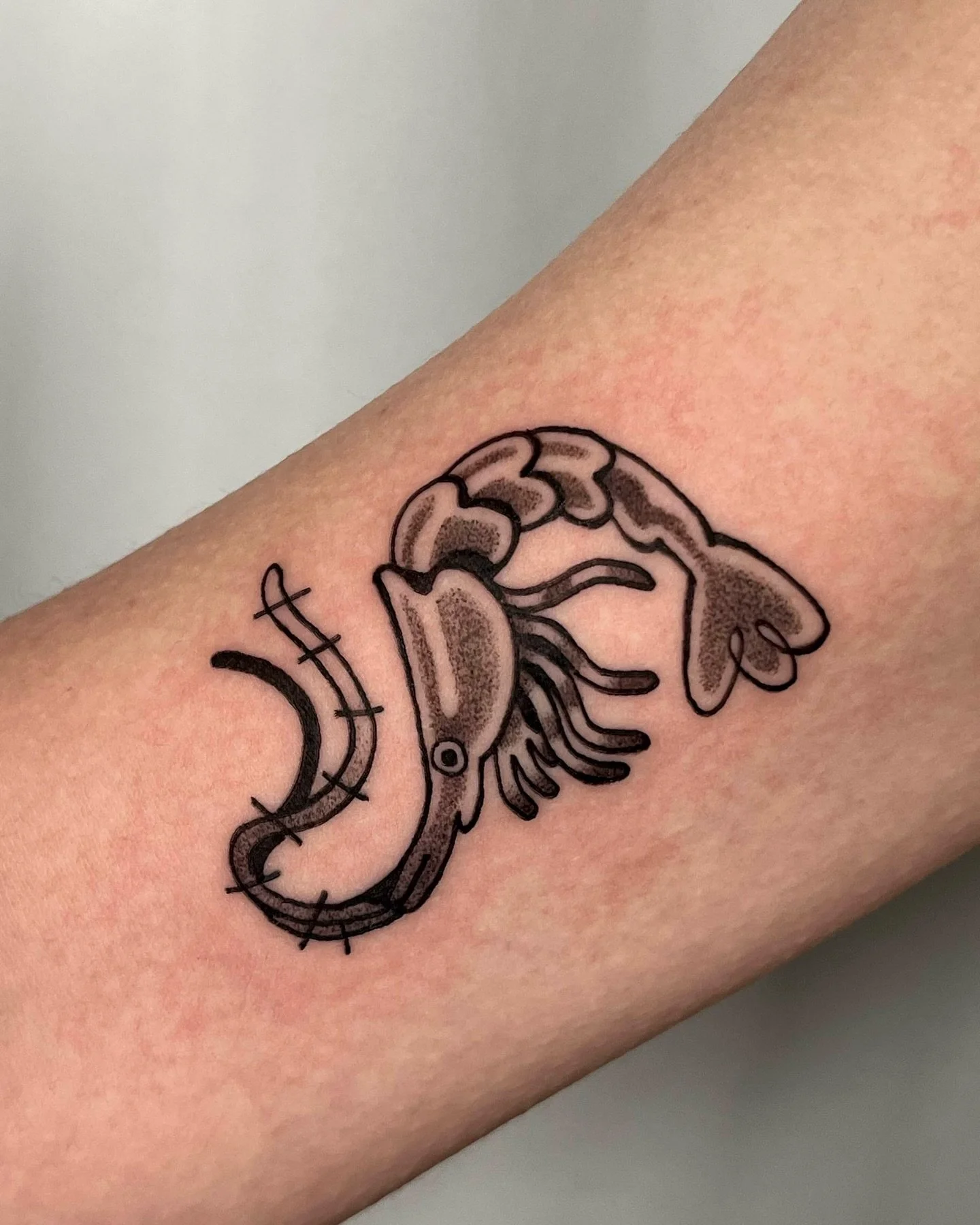 Custom cherry shrimp for Hannah!! Tysm for the trust in this lil dude 🦐
.
.
.
.
.
#montrealtattoo #montrealtattooartist #femaletattooartist #ignorant_tattoos #illustrativetattoos #shrimptattoo #cutetattoo