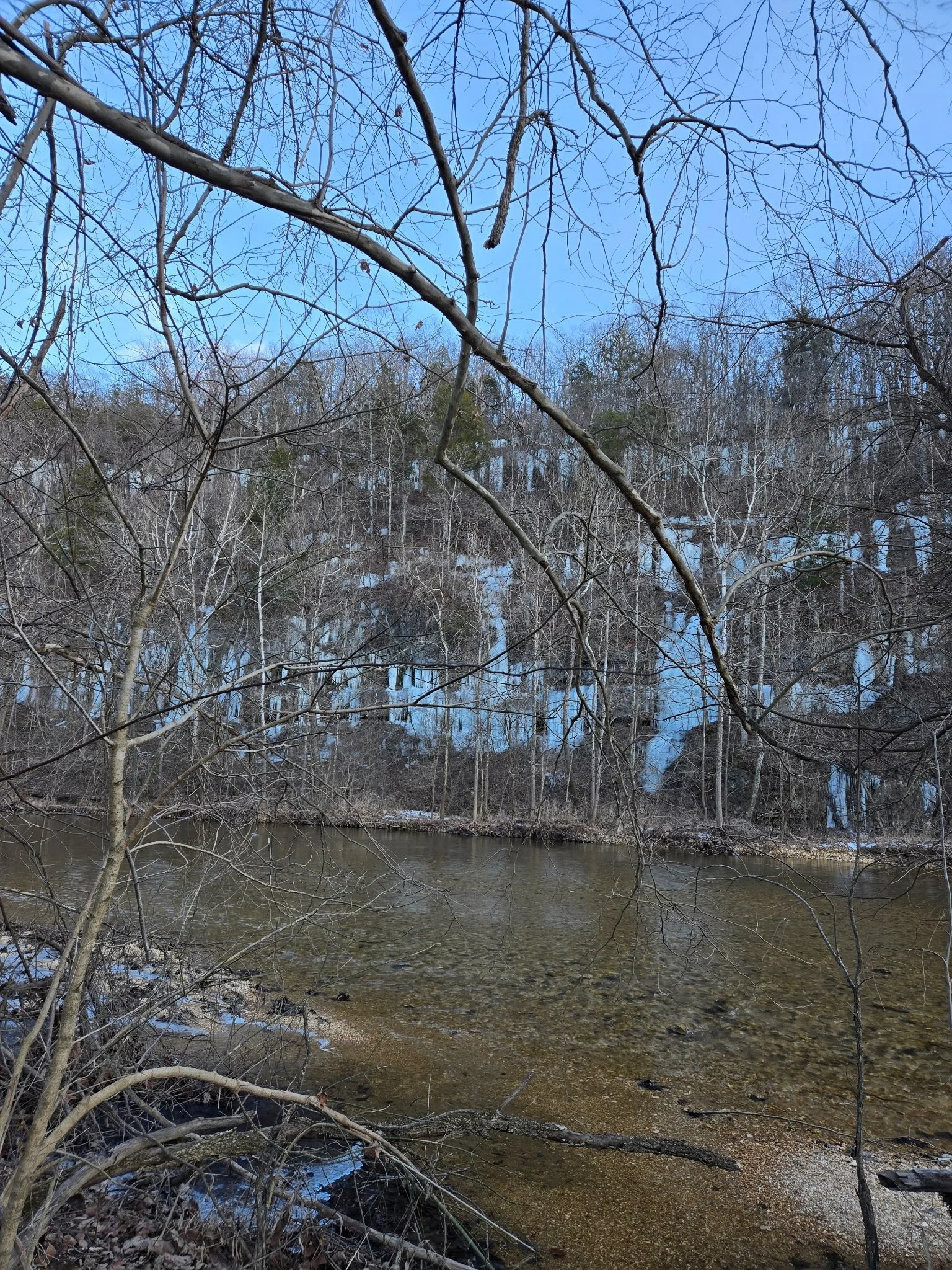 4173965228736027718.jpg