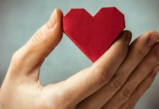 Why does rejection hurt so much?