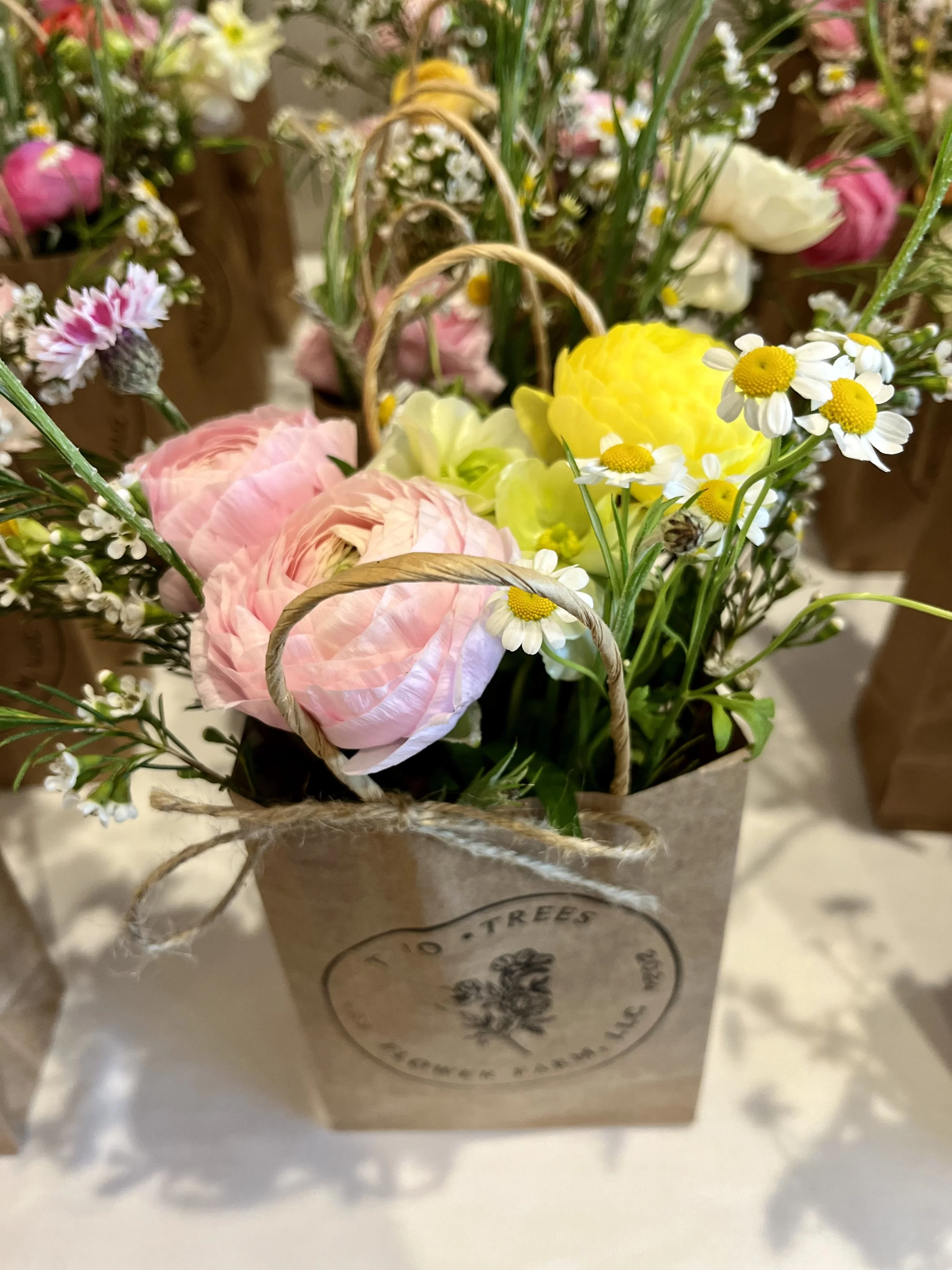 Mother's Day Make & Take