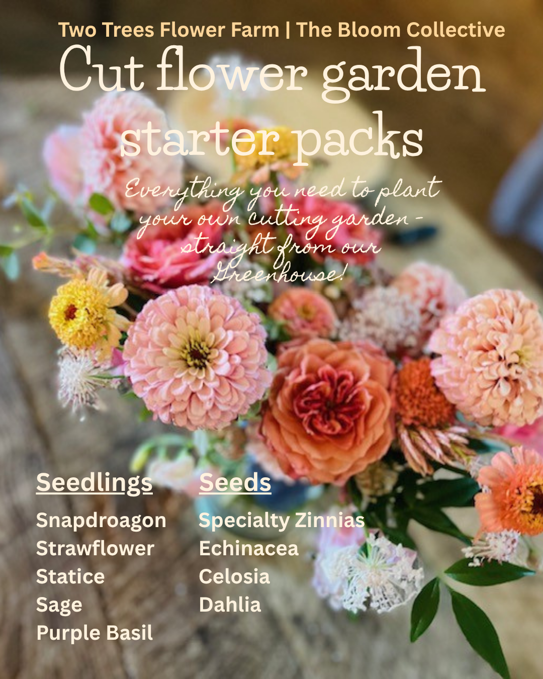 Cut Flower Garden Starter Pack