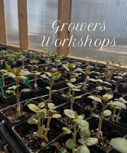 The Growers Series