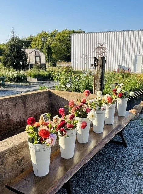 flowers on bench.jfif