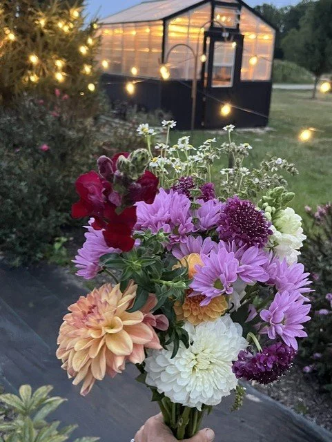 sunset flowers and greenhouse.jfif