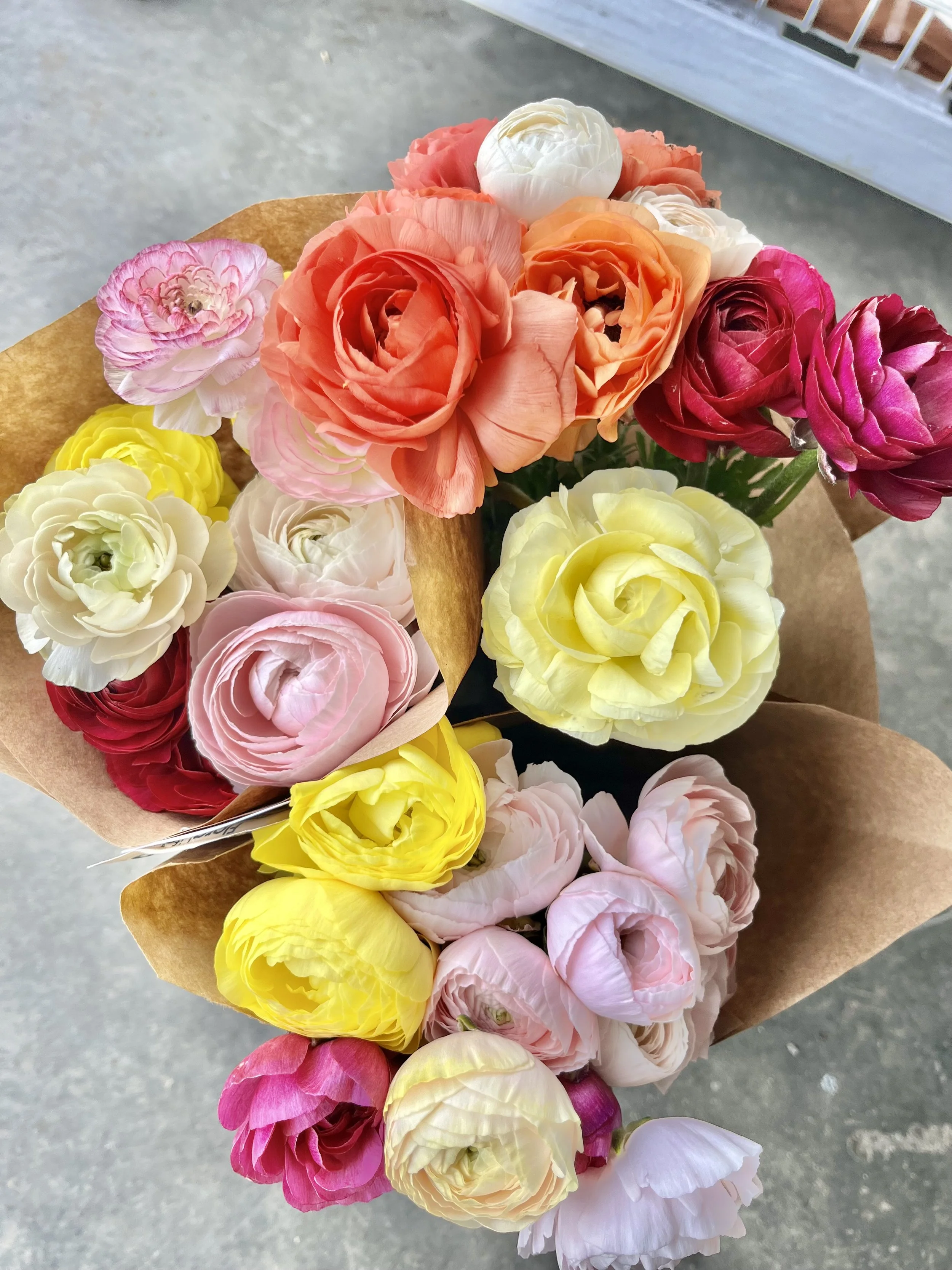 Spring Blooms WEEKLY