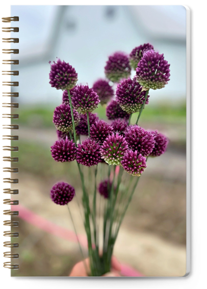 Allium Journal