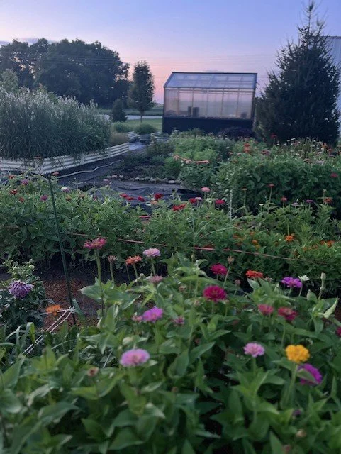 Garden Design Workshop