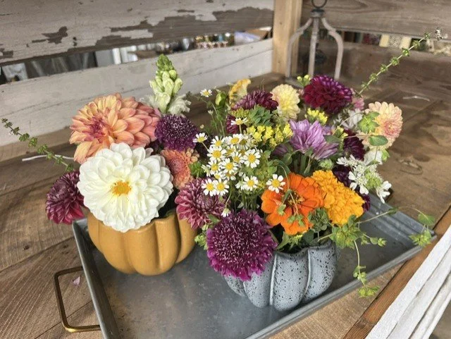 Ceramic Pumpkin Arrangement