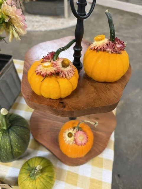dried flower pumpkins.jfif