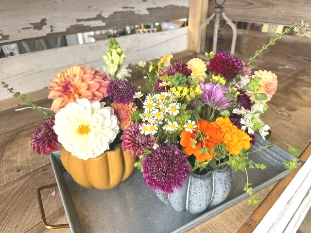 ceramic+pumpkins.png