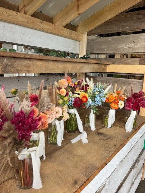 Kate all on stand.jpg