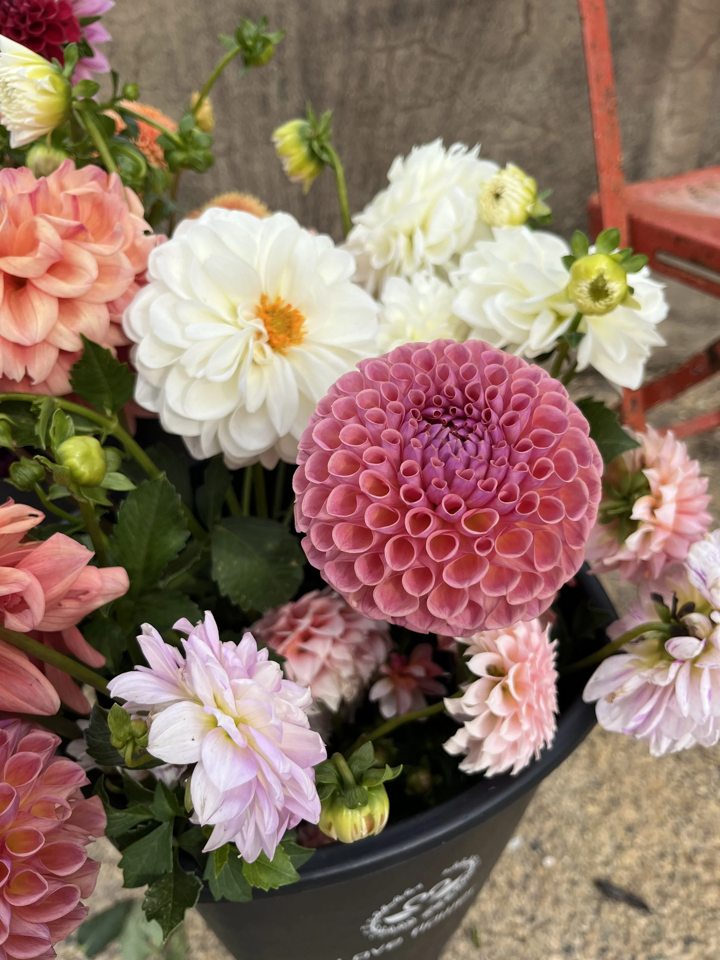 Hand-tied bouquet Workshop