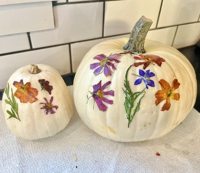 pressed floral pumpkin.jfif