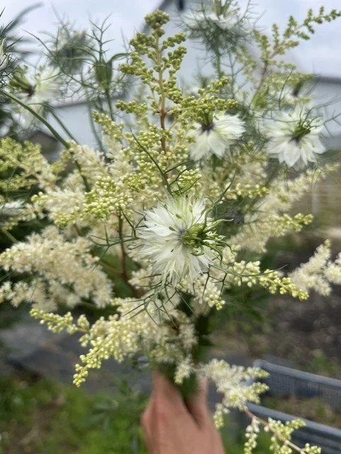 Nigella and Astilbe.jfif