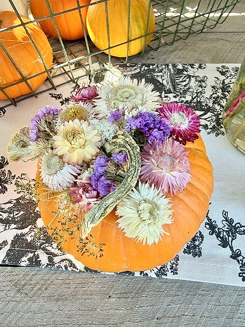 strawflower+pumpkin.png