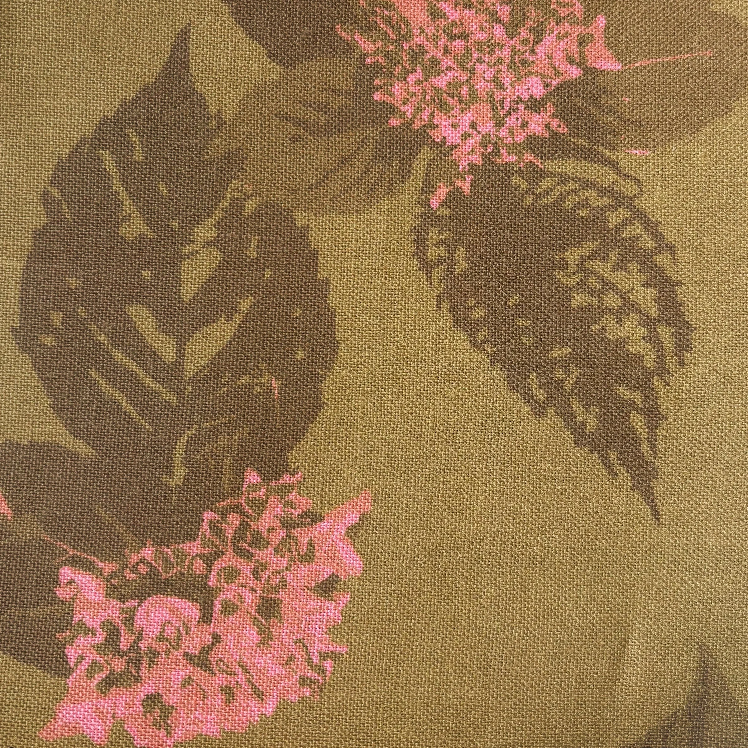 hydrangea buds green