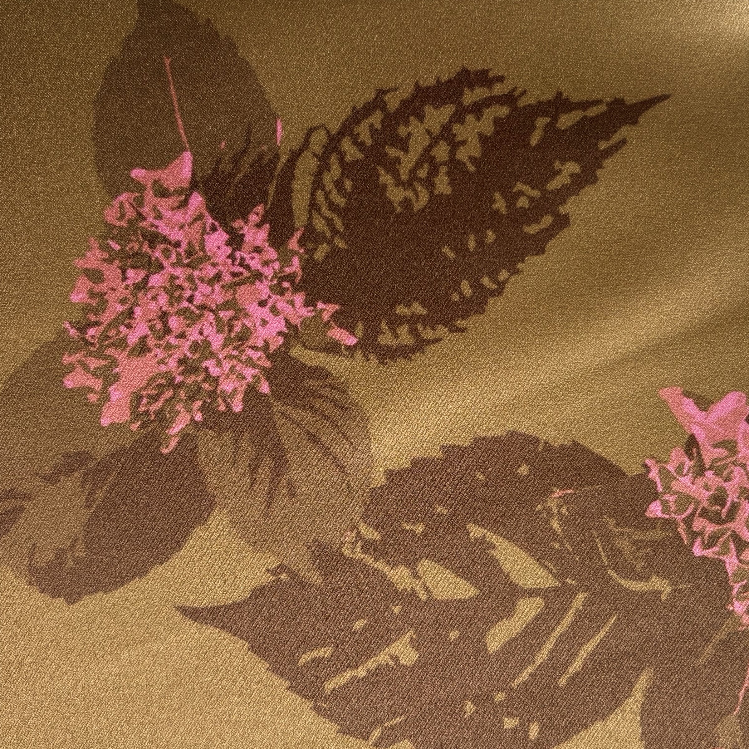 hydrangea buds green