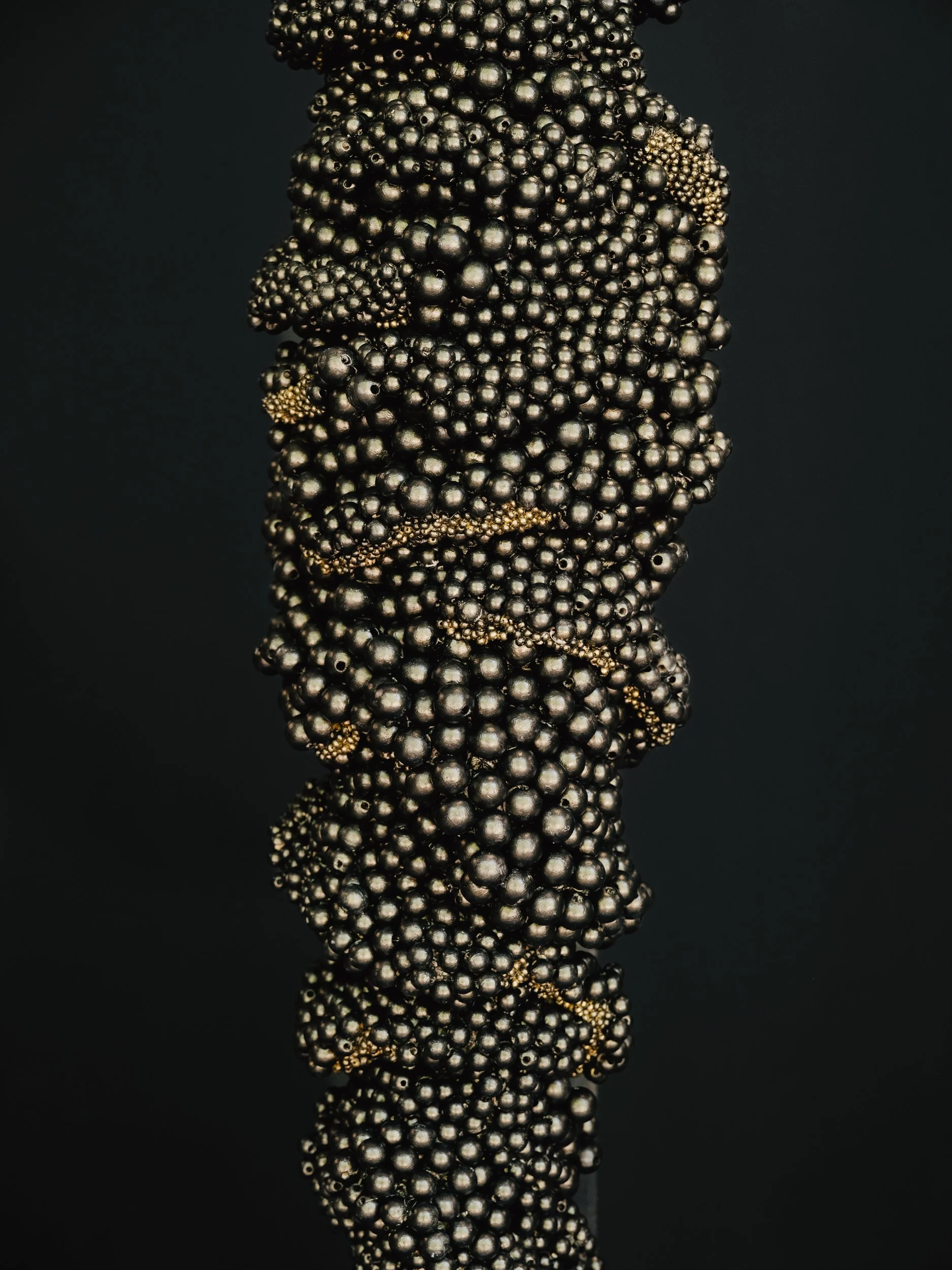 DSCF3087.jpg