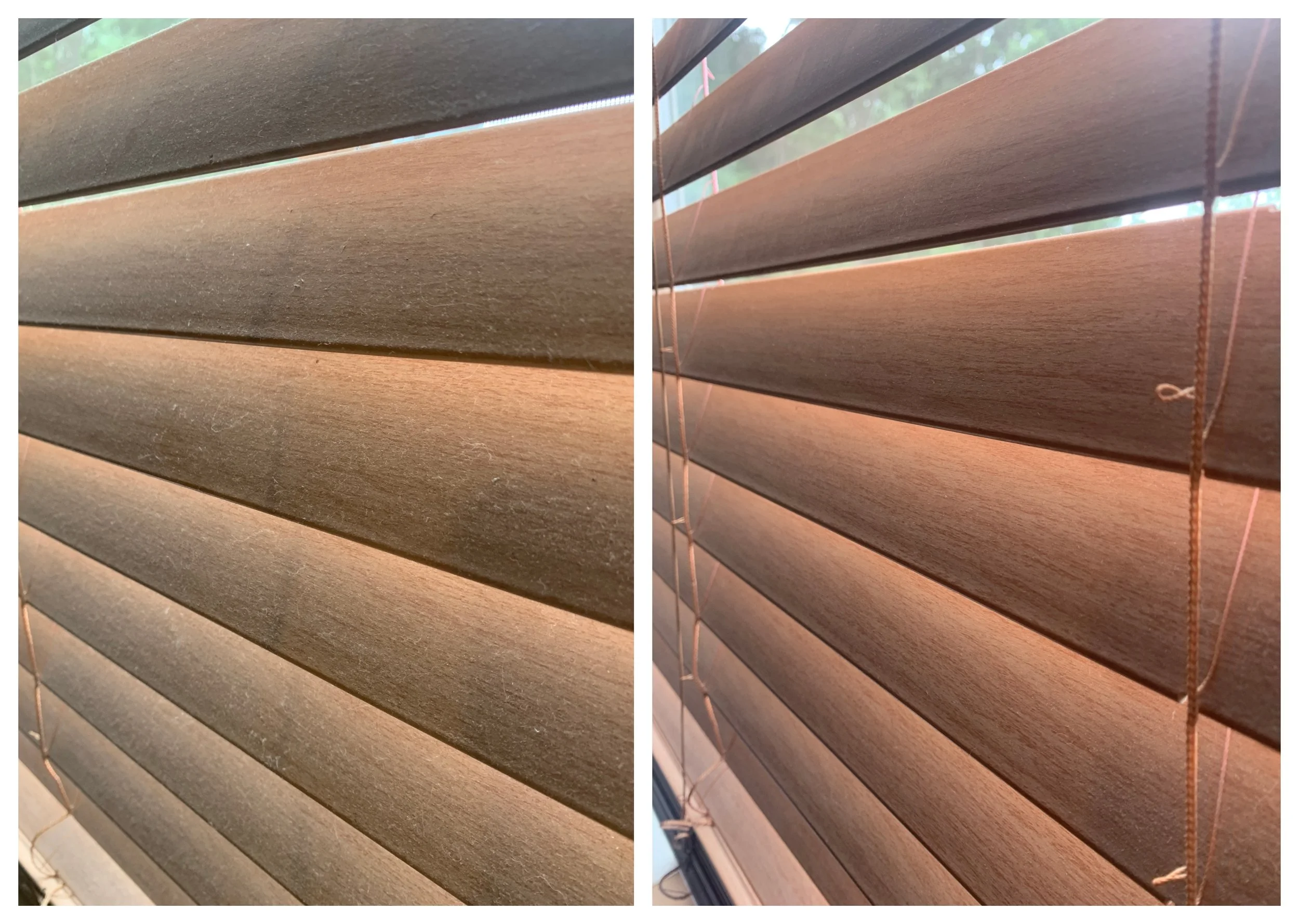 Blinds B&A.jpg