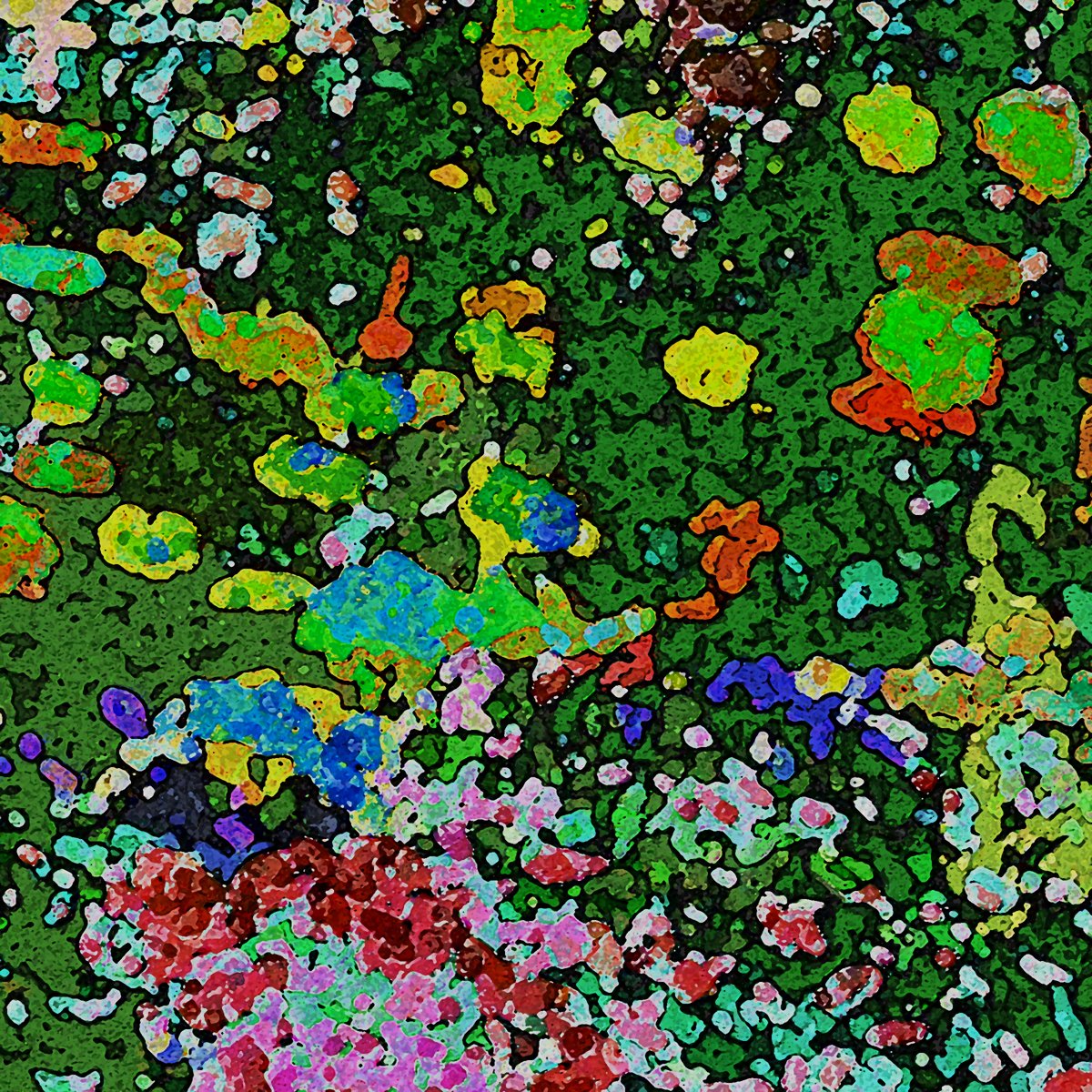 Monets Garden 6x6.jpg