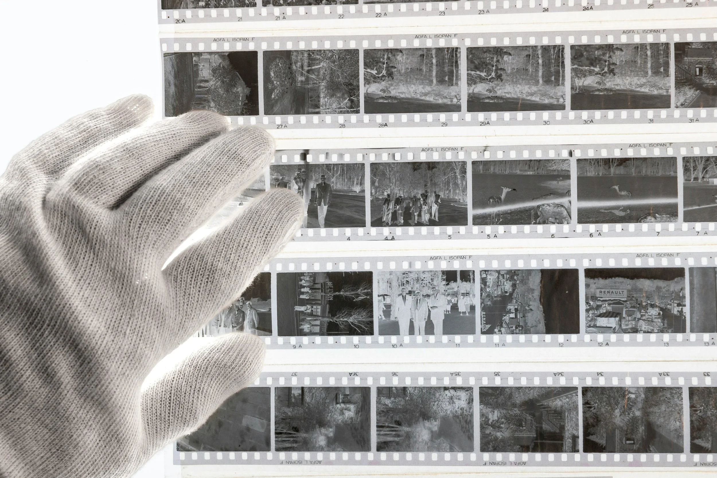 Medium format 120 film scanning and digitization Vancouver BC.jpg