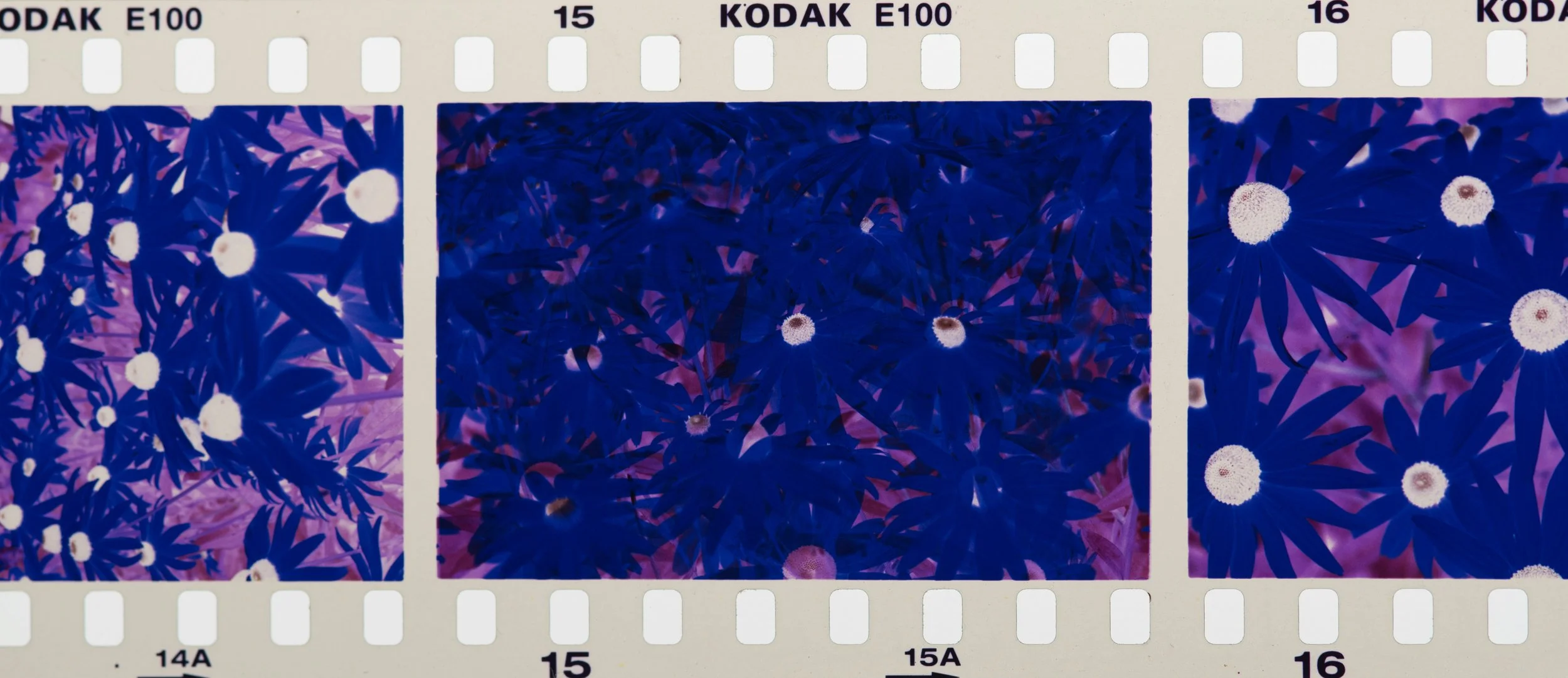 Surrey and Vancouver BC Super 8 film transfers to MP4.jpg