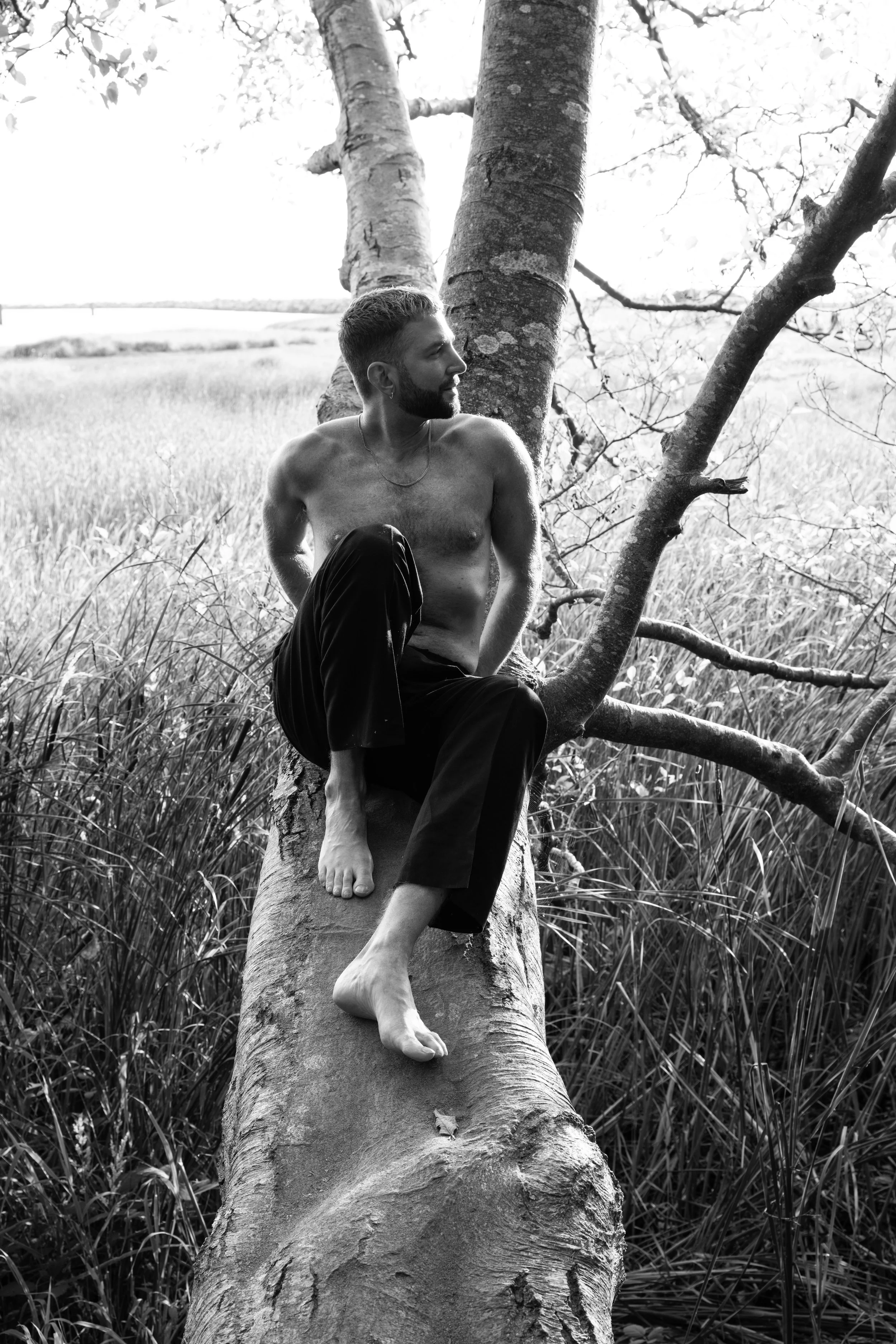 Vancouver BC professional headshot photography. A shirtless man with a beard and short hair sitting on a fallen tree in a field of tall grass, looking to the side. The photo is in black and white.