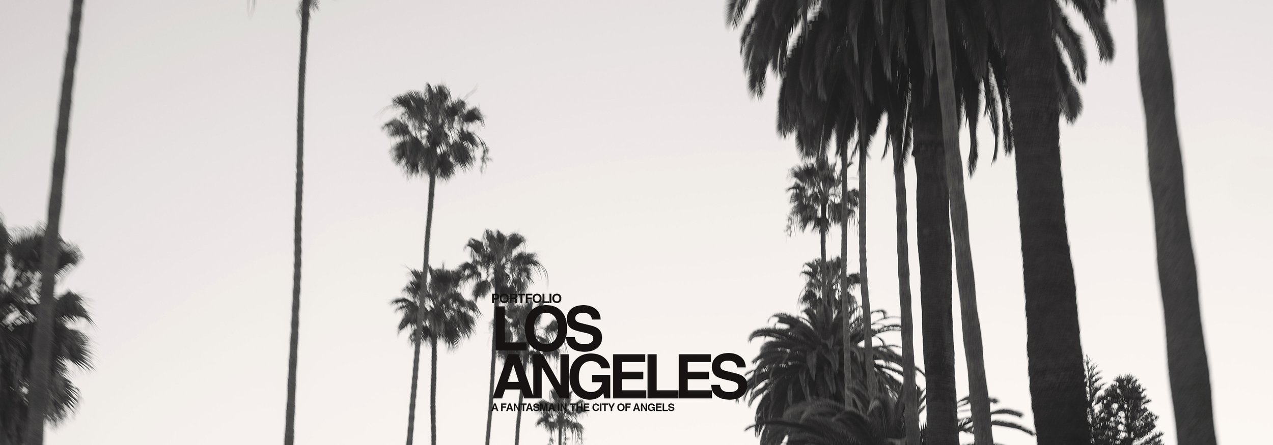 LOS ANGELES PORTFOLIO.jpg
