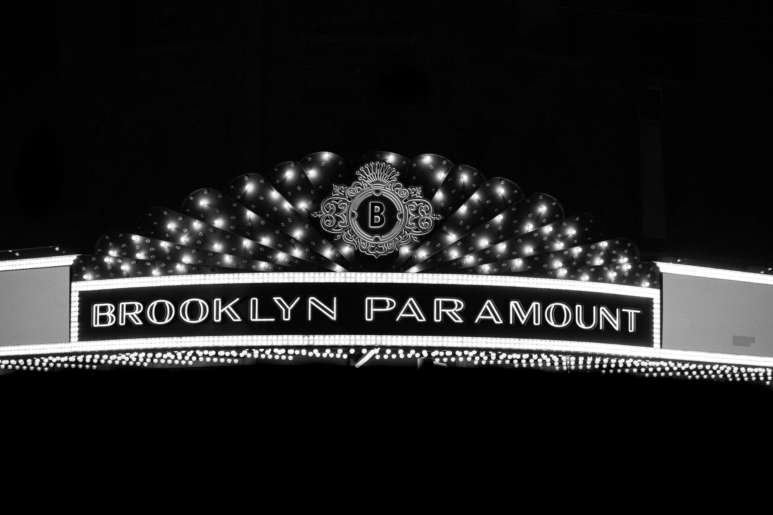 THE HIVES THE CHATS BROOKLYN PARAMOUNT PHOTOGRAPHED BY ANDREW WILLIS 52.jpg