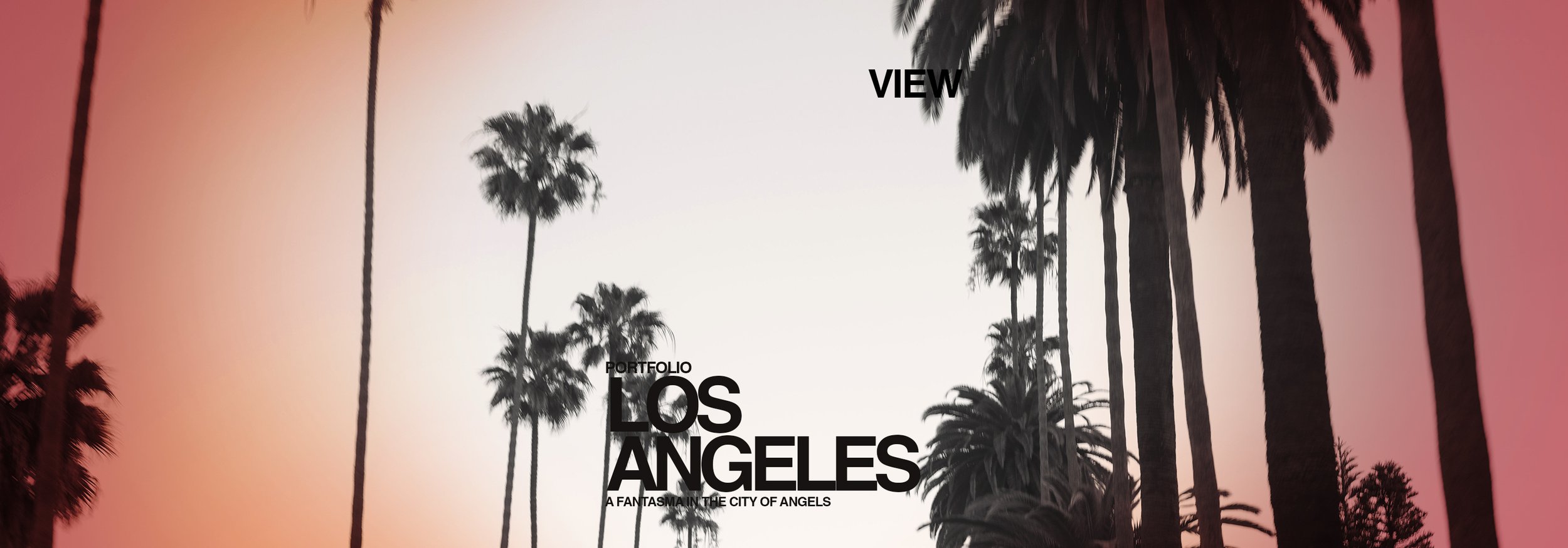 LOS ANGELES PORTFOLIO.jpg