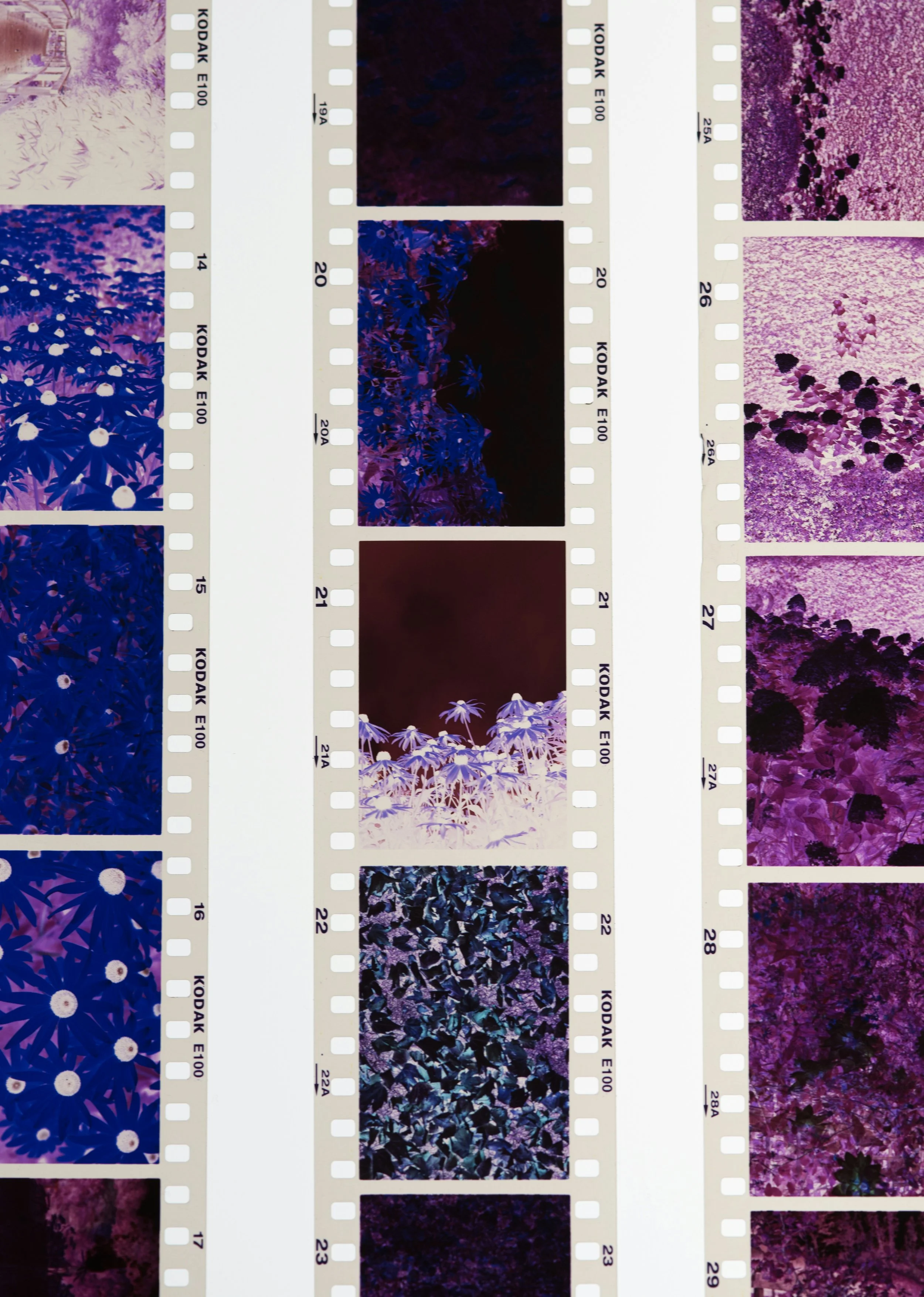 Black-and-white negative scanning and restoration Vancouver BC.jpg