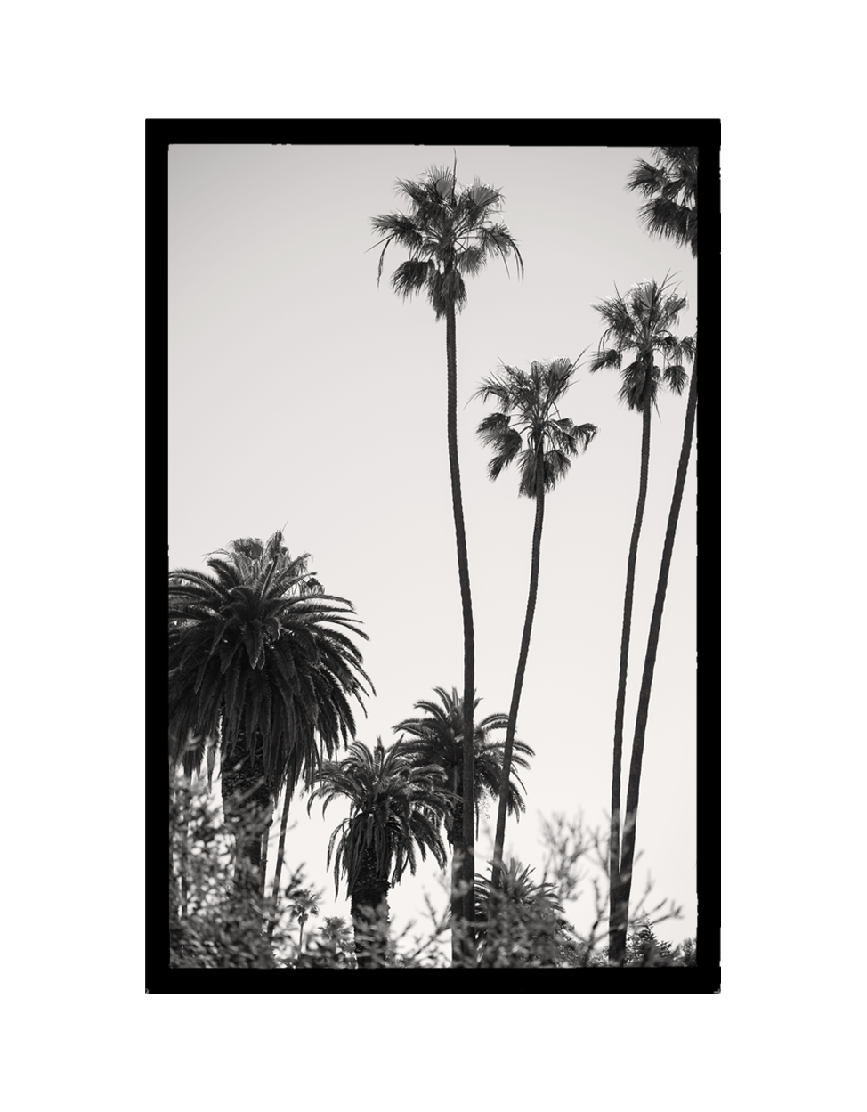 Los Angeles (24" x 40" Framed)