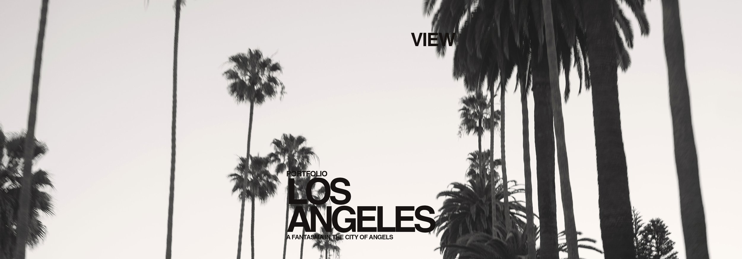 LOS ANGELES PORTFOLIO.jpg