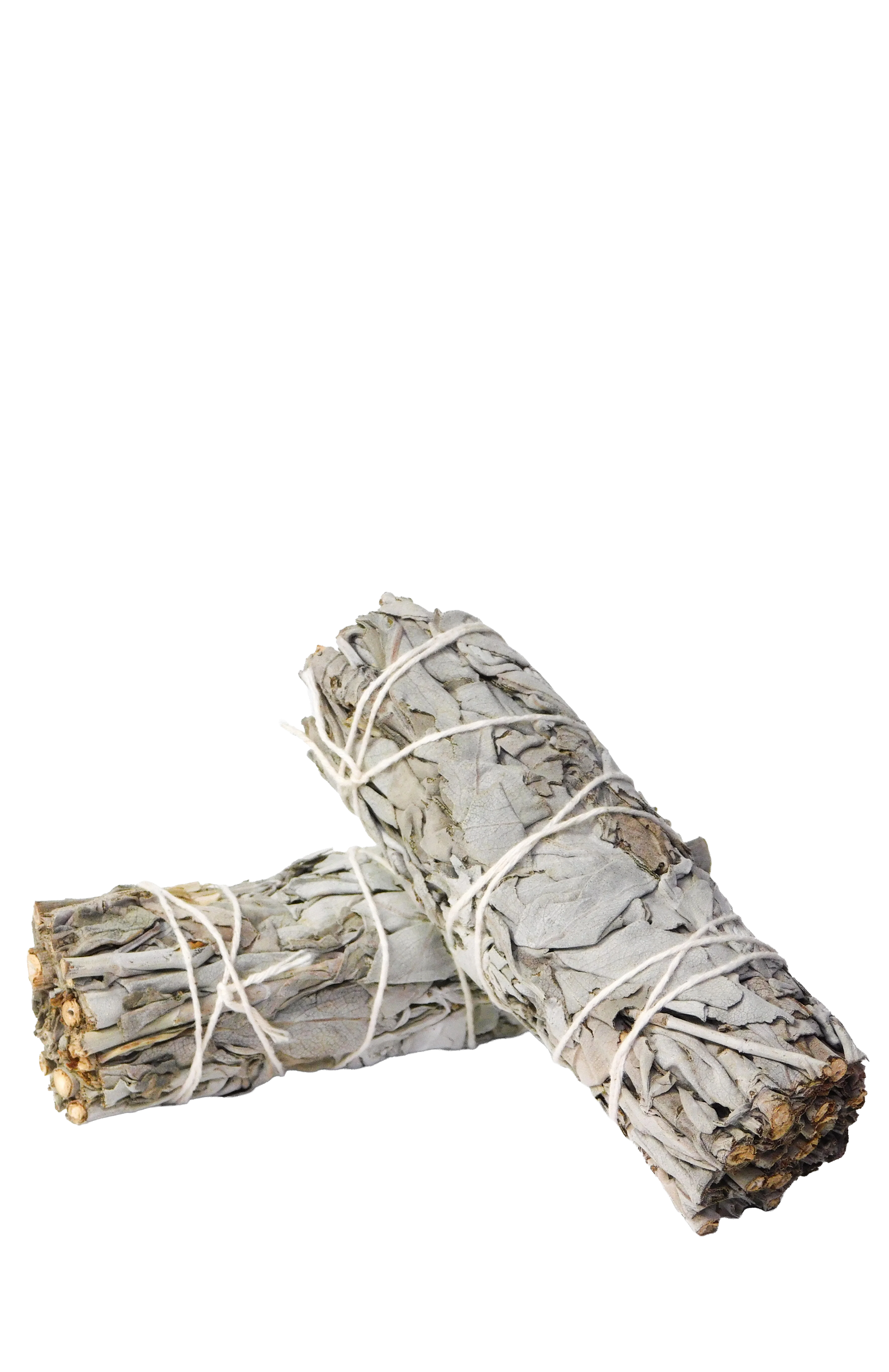 White Sage