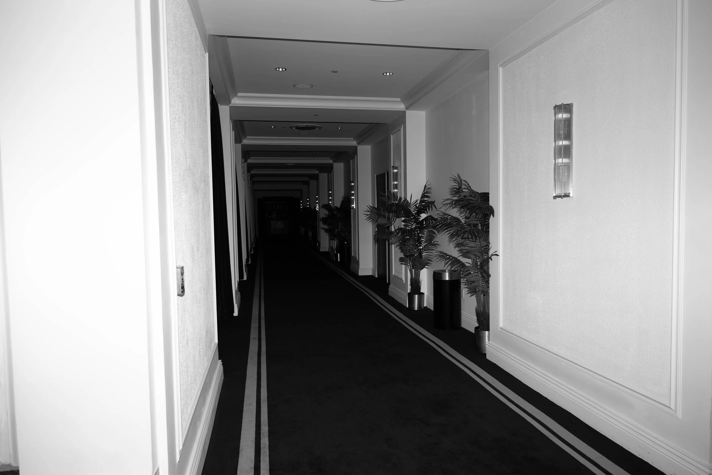 DSC_5504.JPG