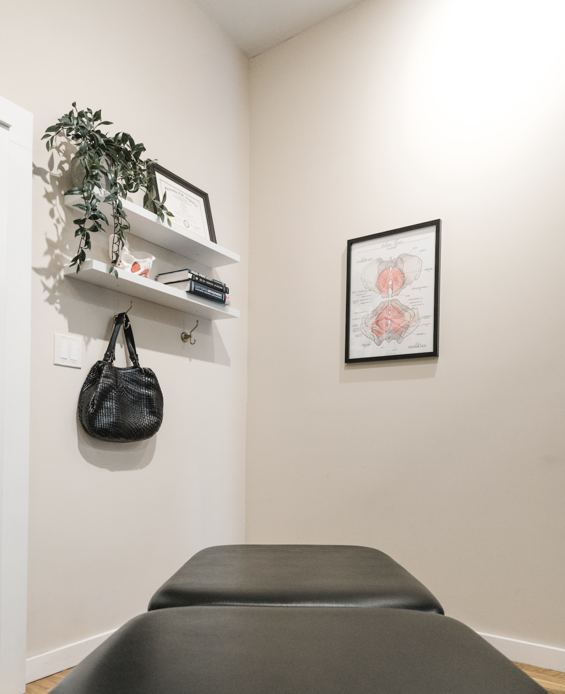 Exam room with a padded table, two floating shelves with books, a framed medical diagram on the wall, a hanging black handbag, and a small plant on the top shelf.