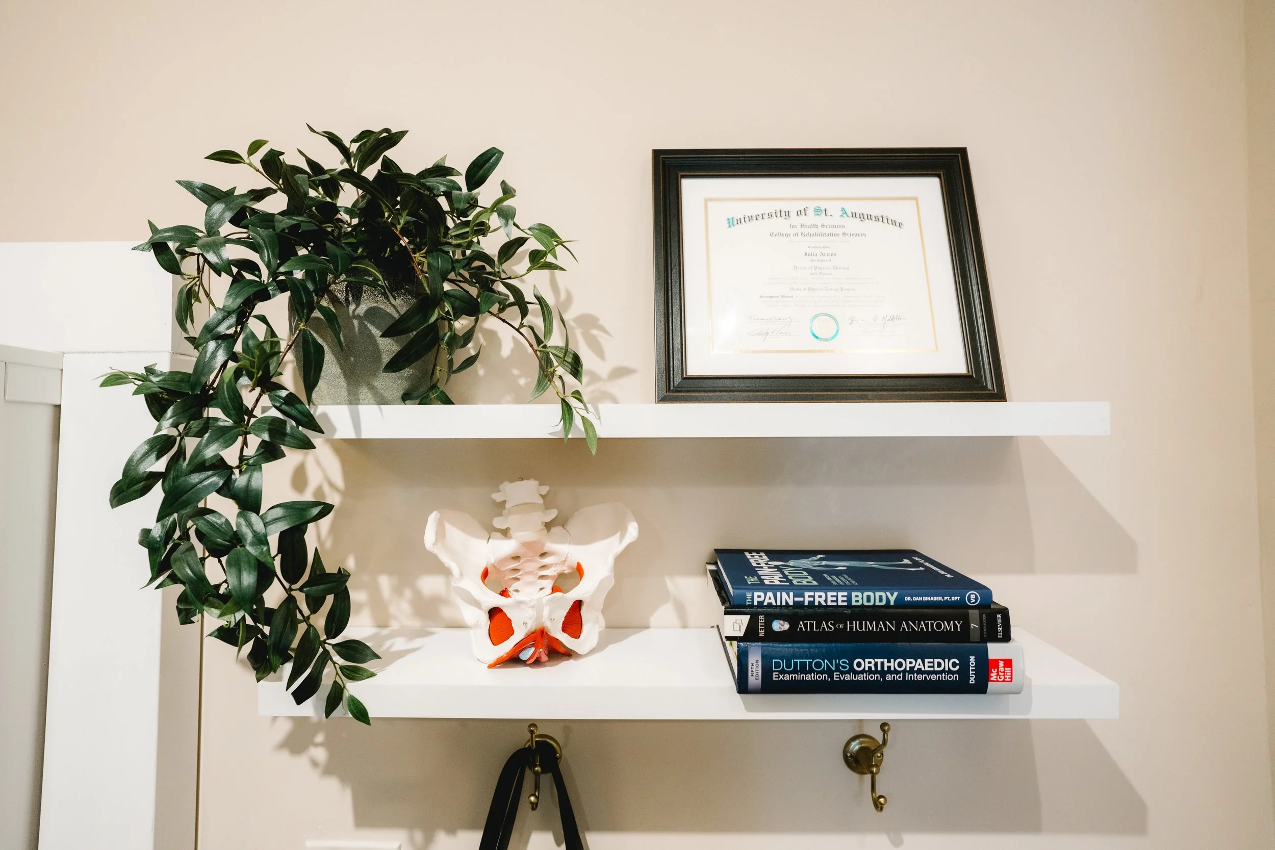 White wall with a framed diploma from the University of St. Augustine, a green plant in a pot, a model of a human pelvis, and a stack of medical books.