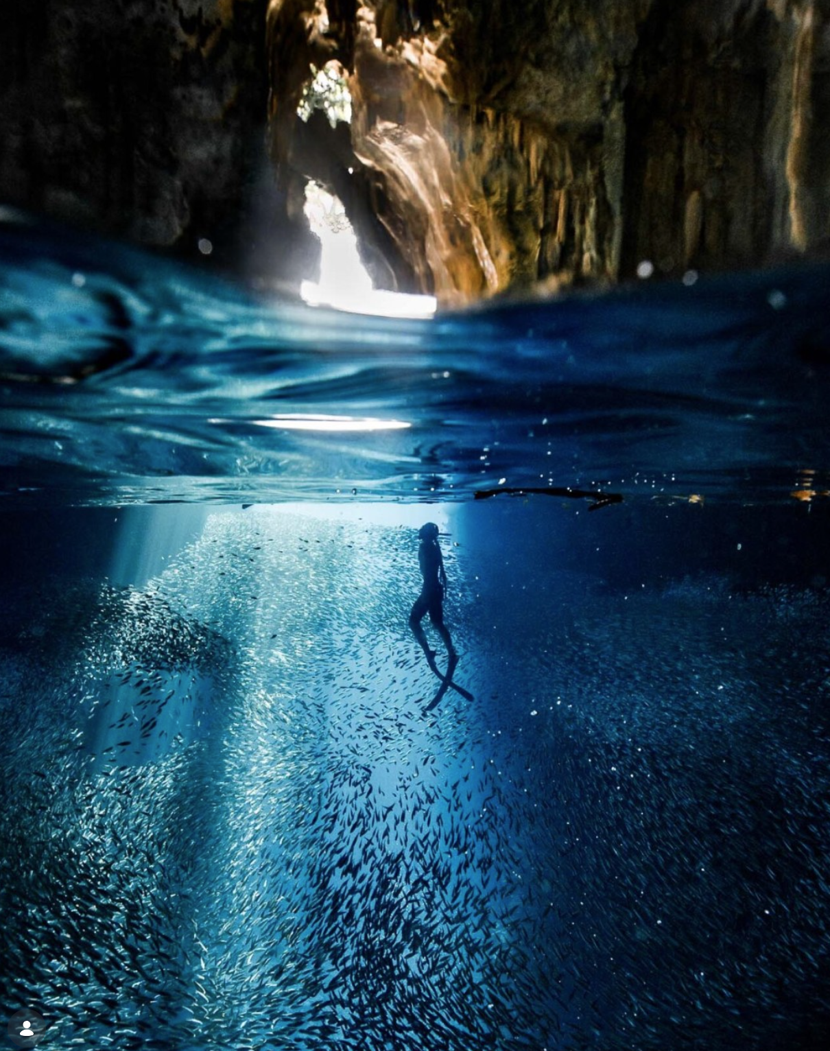 Can a Mermaid Teach You Something True?