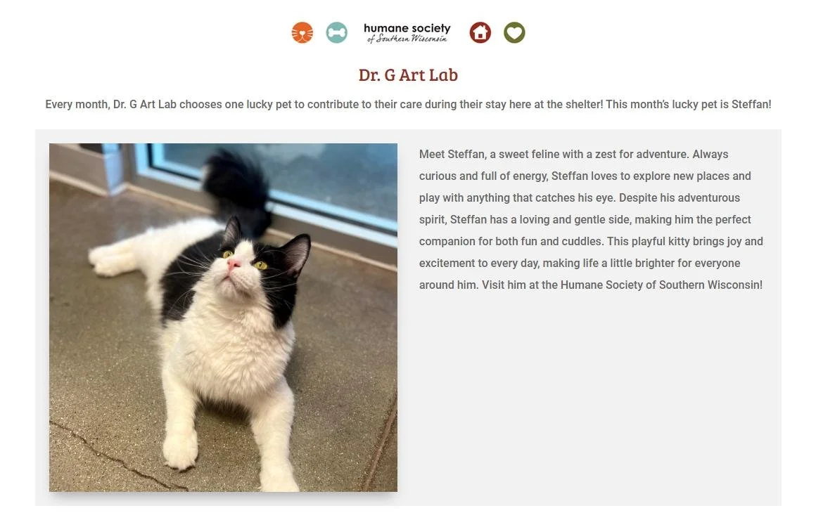 Wisconsin Humane Humane Society Cat Adoption Calla Lily Night