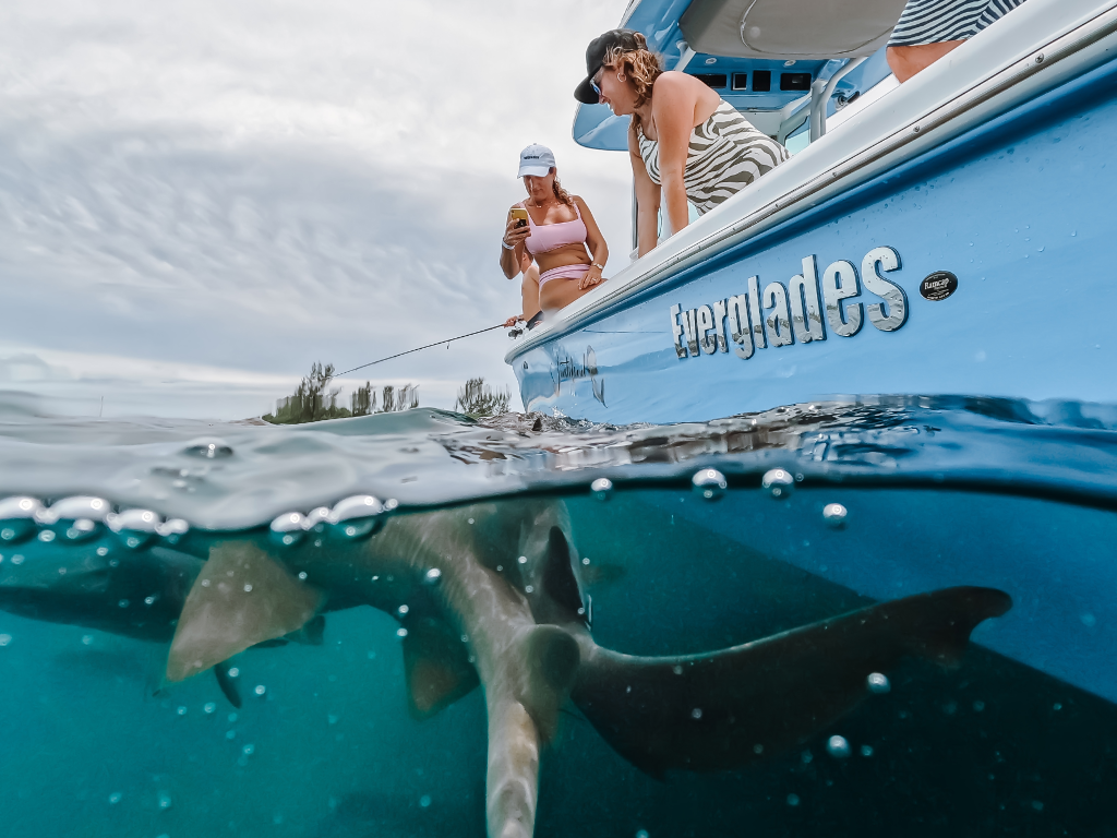 Everglades_Photo_Hor_2.png