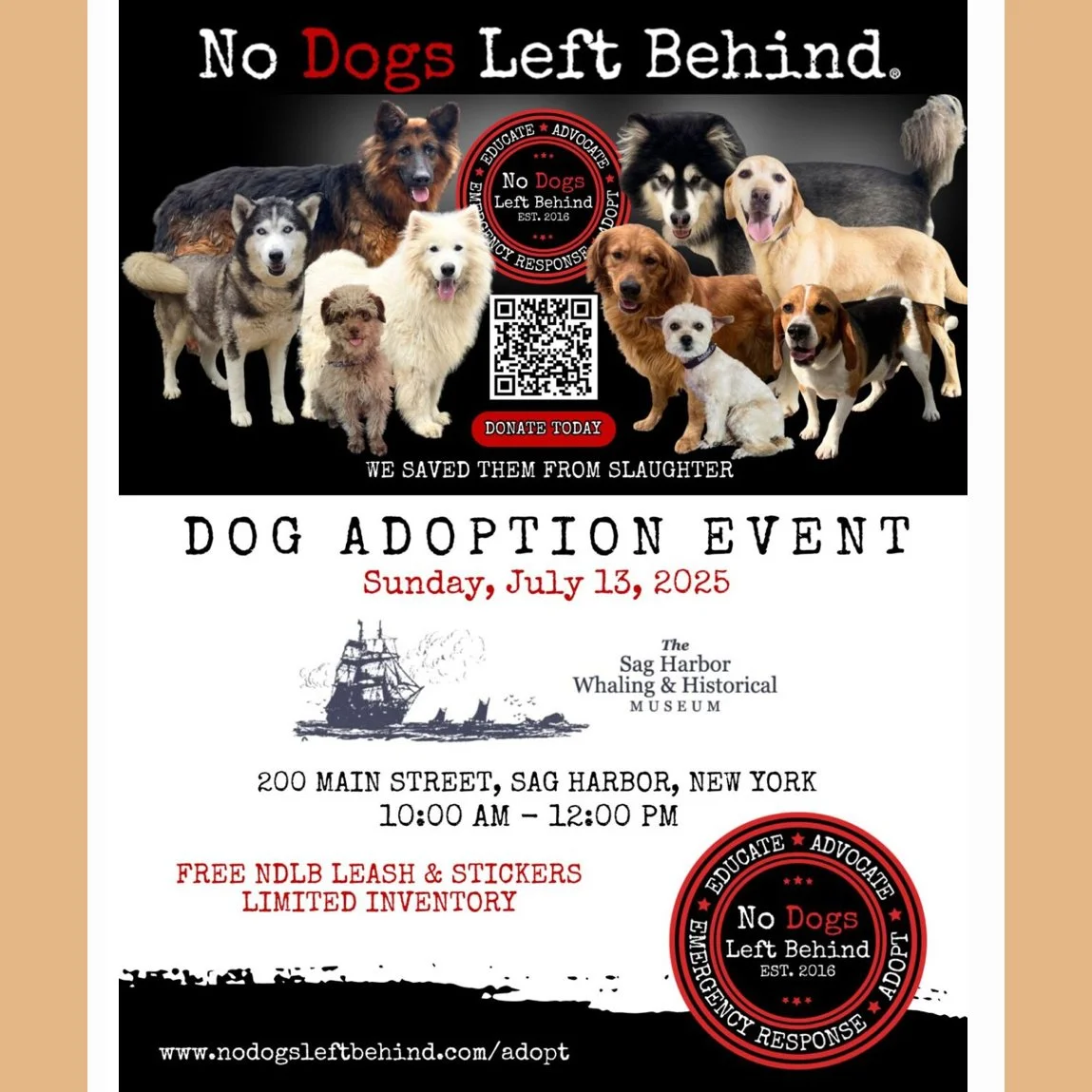 No Dogs Left Behind Adoption Event