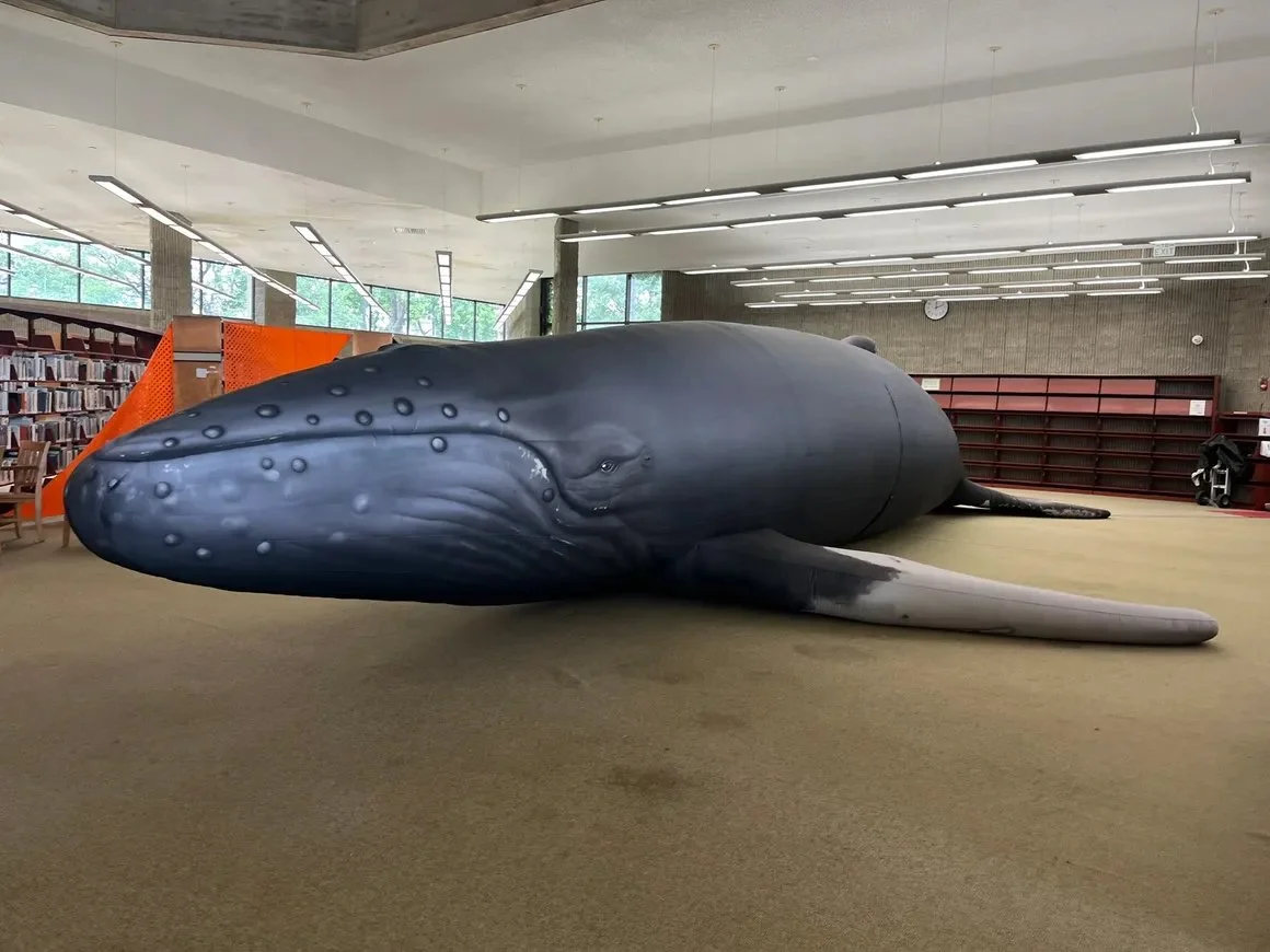 Whalemobile: A Life-sized Inflatable Whale Experience
